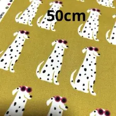 【オックスプリント】お行儀のよいダルメシアン マスタード 約110×50cm