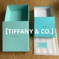 Item thumbnail for item 2cbb69a2-9918-4255-b117-d63ddf1aa84d