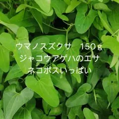 ウマノスズクサ 茎付き葉っぱ 100枚 ジャコウアゲハ 幼虫 餌 - メルカリ