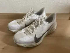 ナイキ ペガサス プラス　27.5cm