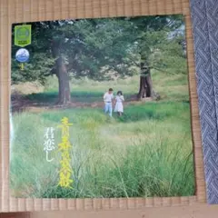 LPレコード 君恋し 青春の哀歓