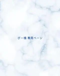 ぴー様専用ページ