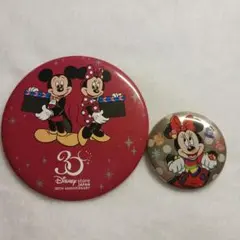 ディズニーストア30周年＆ミニパル缶バッジ