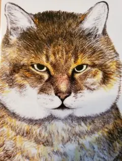 カリカリ様専用