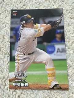 プロ野球チップス 甲斐拓也