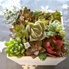 ぽぽちゃん様 リクエスト 2点 まとめ商品