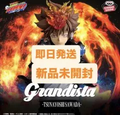 【新品未開封】家庭教師ヒットマンREBORN! 沢田綱吉 フィギュア