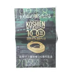 阪神タイガース ☆ 甲子園100周年記念 タブロイド グッズ 非売品【新品】のサムネイル