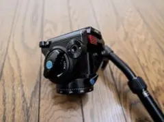 Item thumbnail for item cfa493bf-a422-44a8-804f-3d7e8e2b7733