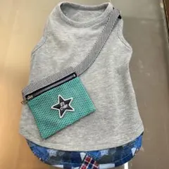 Item thumbnail for item 2006994f-7d2c-413a-8160-c07aeab69047