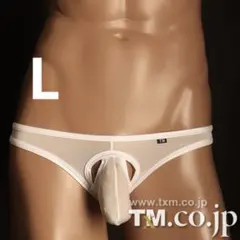 tmコレクション