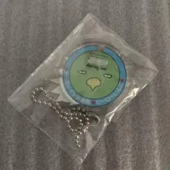 ドーミーインコ