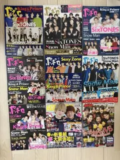 TVガイド 音楽・芸能特集 雑誌セット ジャニーズ