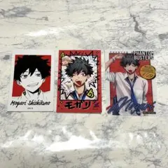 2026年最新】宍喰野虎落 カードの人気アイテム - メルカリ