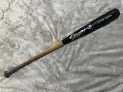 Item thumbnail for item 885430df-53ad-46fe-9ea2-0cb2867fe554