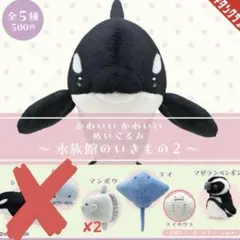 希少ハローキティ チンアナゴぬいぐるみ マスコット水族館限定商品