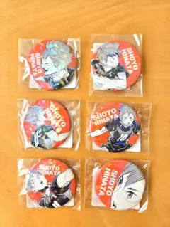 日向翔陽 缶バッジ 6個セット ハイキュー!!