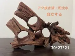 LY-010 流木 マシンガンウッド ホーンウッド アクアリウム ブランチ