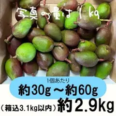 【緑/青23-2】約21.5kg　グリーンマンゴー 青マンゴー　摘果マンゴー 橙5-2】約4.7kg グリーンマンゴー 青マンゴー マンゴー 摘果マンゴー