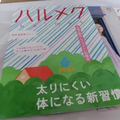 大福様 リクエスト 2点 まとめ商品