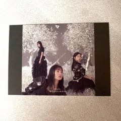 乃木坂46 「Actually...」 TypeD タワレコ限定ポストカード