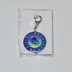 ポケモンZA メガシンカキーホルダー ポケモンセンター予約特典