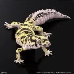 いきもの大図鑑アドバンス レオパードゲッコー バンディット