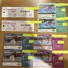 3枚 夏季利用可能 東京 サマーランド 1DAYパス 株主ご招待券 - メルカリ