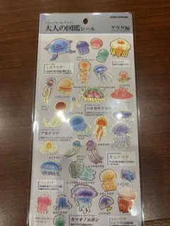 みいさん様 リクエスト 9点 まとめ商品