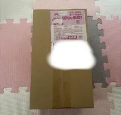 【新品・未開封品】ポケモンセンターヒロシマ　スペシャルBOX シュリンク付き