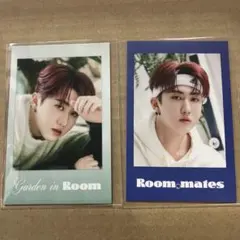 straykids シーグリ 2022 トレカ チャンビン