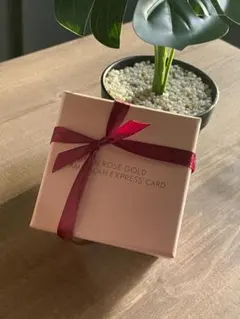 Item thumbnail for item d13ab6c3-3aba-4073-85eb-d23859f68216