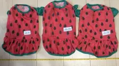 DAISO 犬服　スイカ柄　　3枚セットのサムネイル
