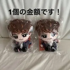 【新品未開封】向井康二 すのチル BIGぬいぐるみver