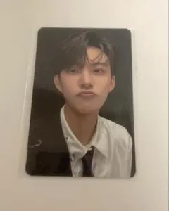 ボイプラ ゴヌ ald1 トレカ アーカイブ展