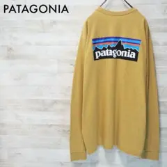 PATAGONIA 21AW P-6 Logo L/S Tee-HAGL/L