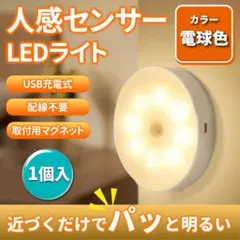 人感センサーライト　LED　充電式　自動点灯　USB　暖色　磁石