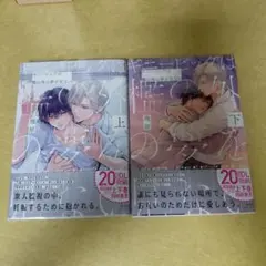 ギニーピッグは檻の外の夢を見ない 上下