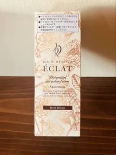 《値下げ❣️》ÉCLAT ボタニカルエアカラー ダークブラウン 80gのサムネイル