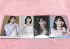 佐々木舞香 生写真 まとめ売り