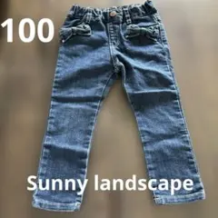 Sunny landscapeジーンズ100のサムネイル