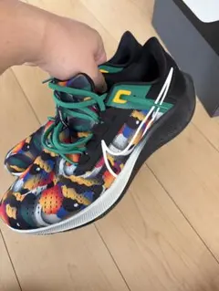 キ*ー様 NIKE AIR ZOOM PEGASUS 38 JM 29cm