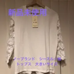 【新品未使用】ノーブランド　シースルー袖　トップス　大きいサイズ