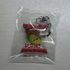 BOYNEXTDOOR シーグリ 2026 キーホルダー キーリング リウ