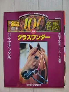 2025年最新】名馬 GALLOP 100の人気アイテム - メルカリ