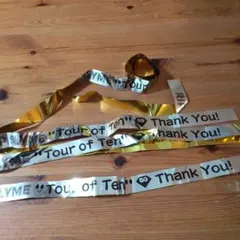 Item thumbnail for item 12cffa08-c8fa-45fd-a8f7-762640f13ab9