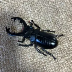 リアル クワガタ おもちゃ約10cm