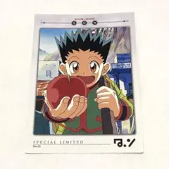 2025年最新】HUNTER×HUNTERカードダスマスターズ初版ゴンカード