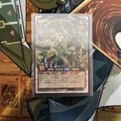 狐狸茶々　オーバーラッシュ