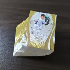 mesprofileさま専用